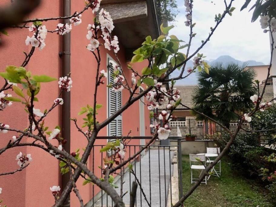 Giuditta Freecarpark&Garden Domodossola Eksteriør bilde