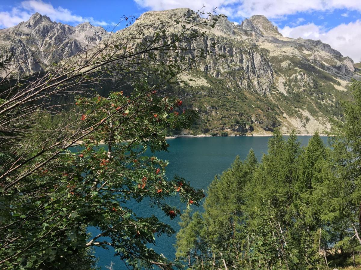 Giuditta Freecarpark&Garden Domodossola Eksteriør bilde