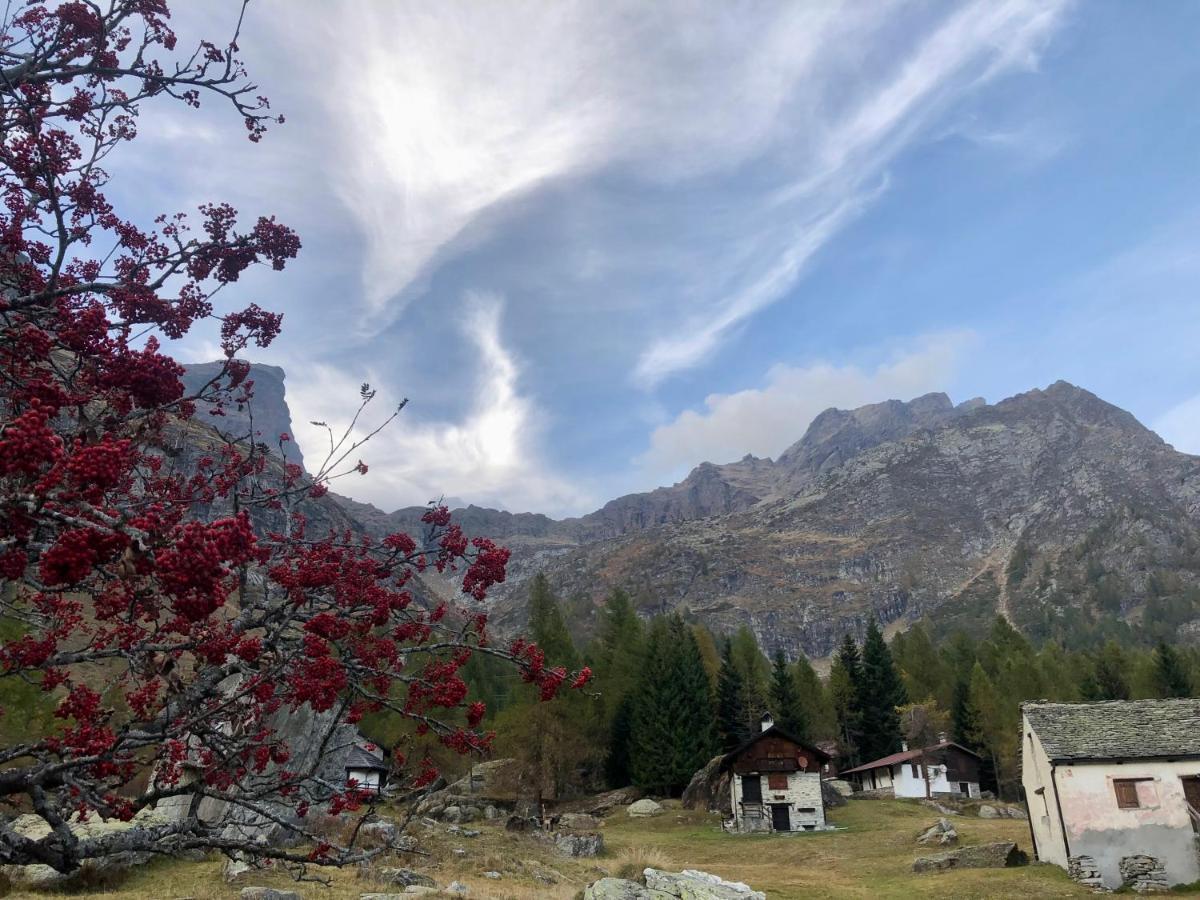 Giuditta Freecarpark&Garden Domodossola Eksteriør bilde