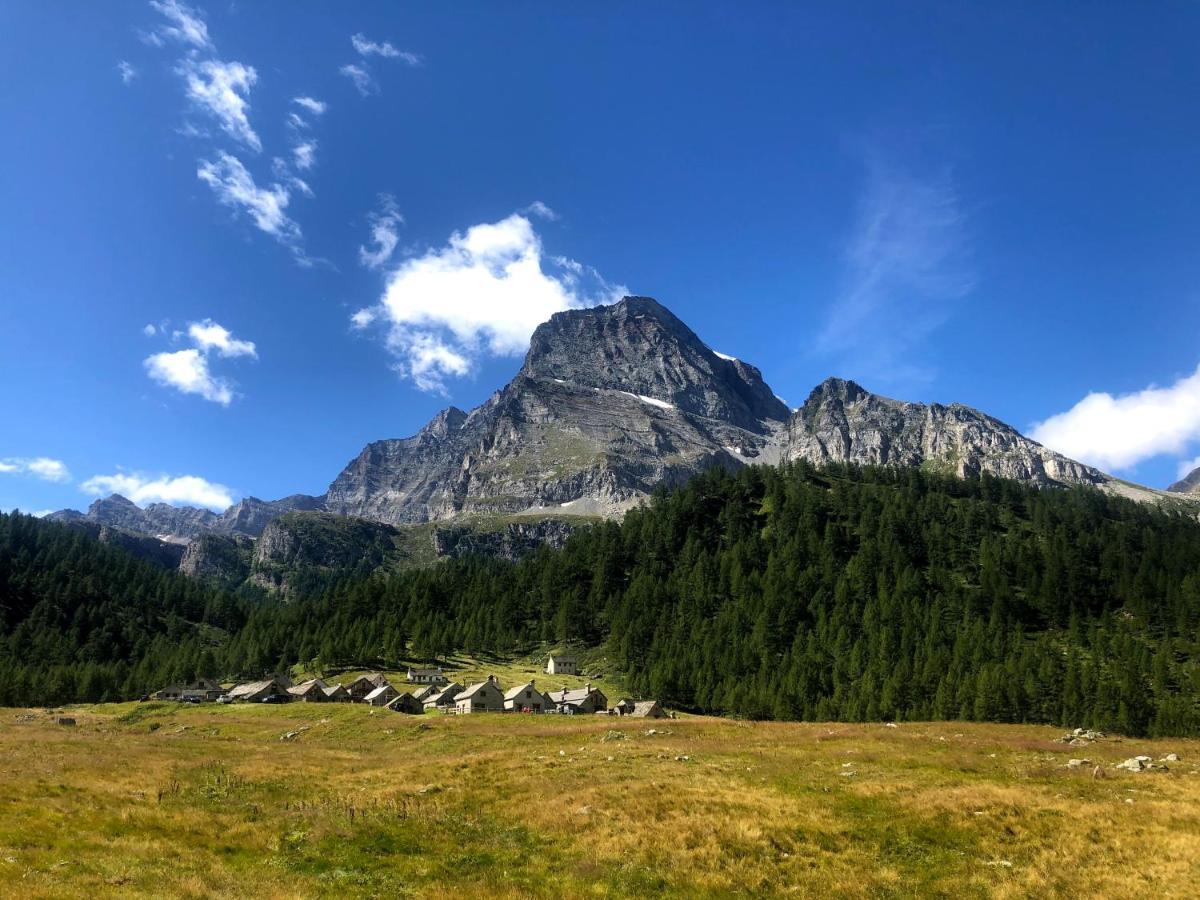 Giuditta Freecarpark&Garden Domodossola Eksteriør bilde