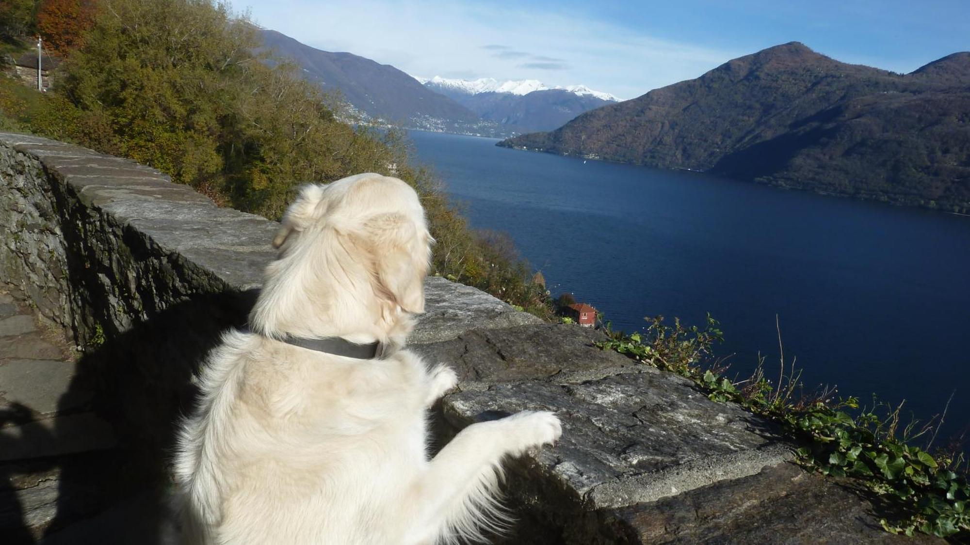 Giuditta Freecarpark&Garden Domodossola Eksteriør bilde