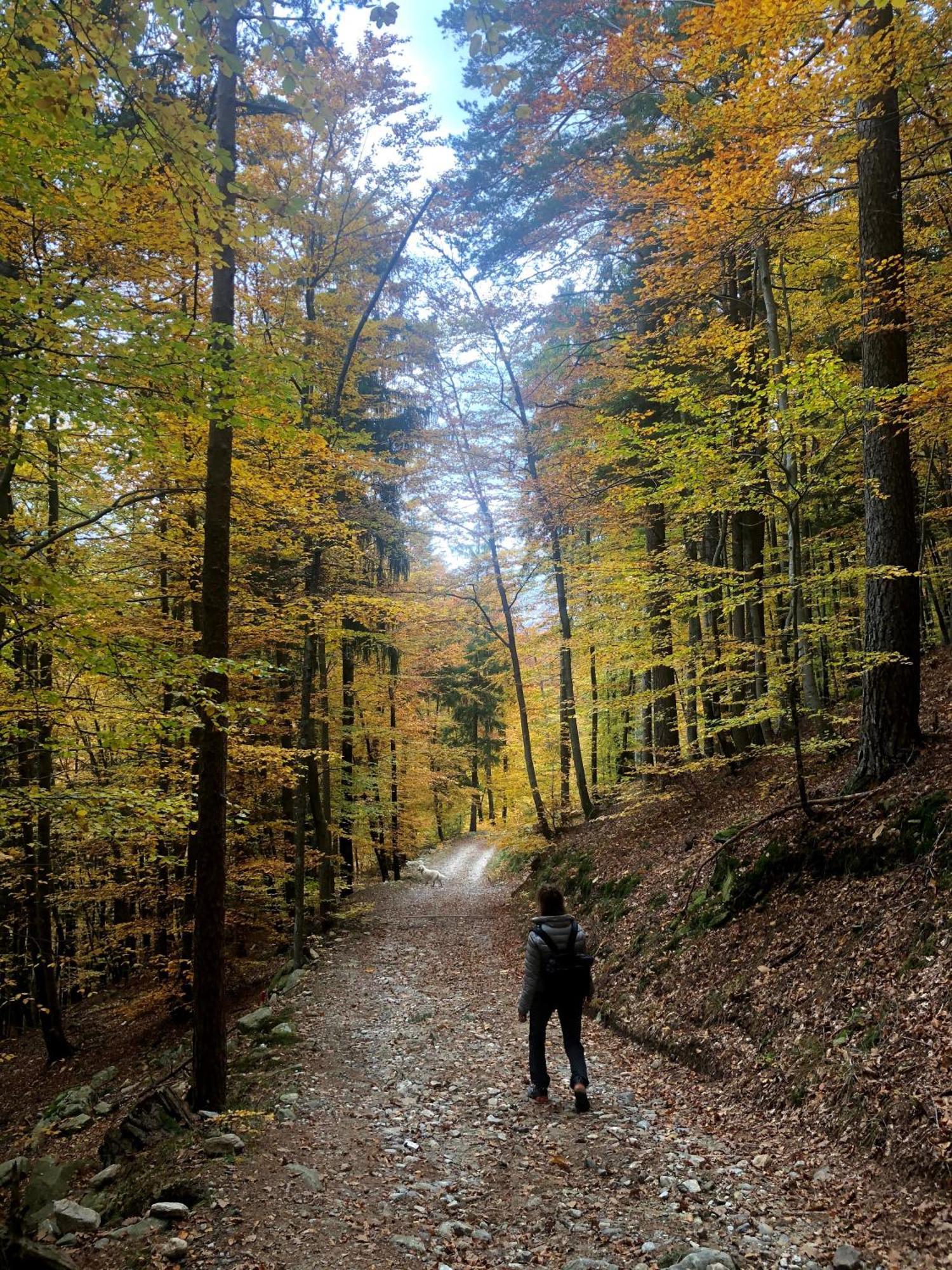 Giuditta Freecarpark&Garden Domodossola Eksteriør bilde